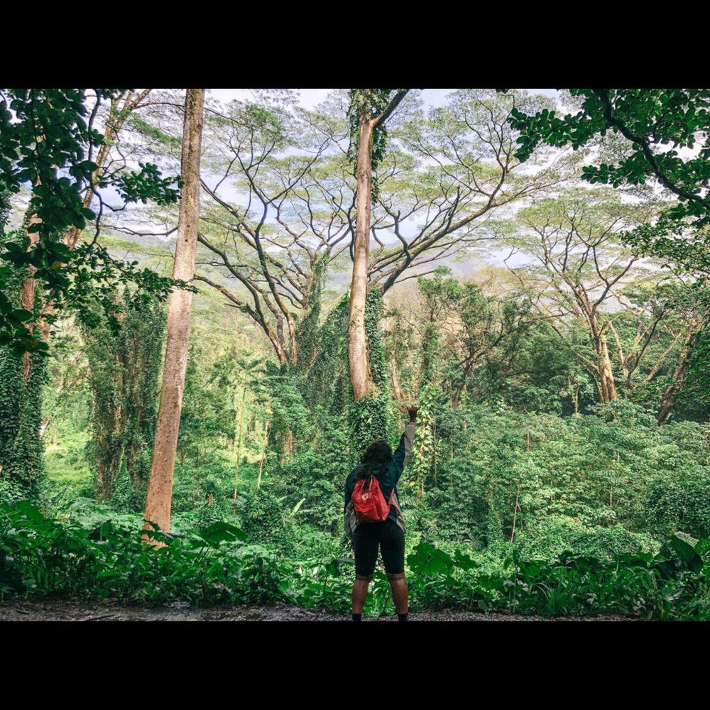 Meet your Posher, Bertha